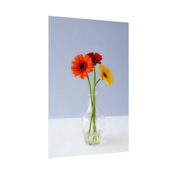 Three Daisies Poster