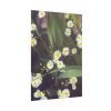 92410-92.jpg Tiny White Daisy Flowers Poster