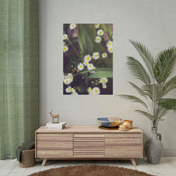 92410-93.jpg Tiny White Daisy Flowers Poster