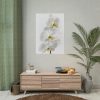 White Orchid Poster