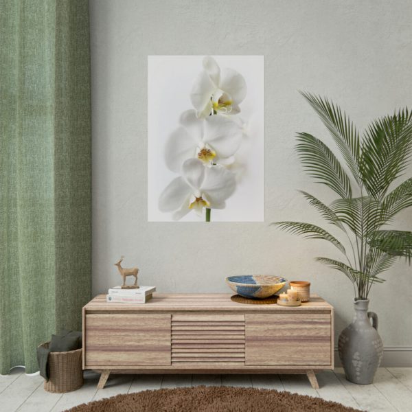 White Orchid Poster