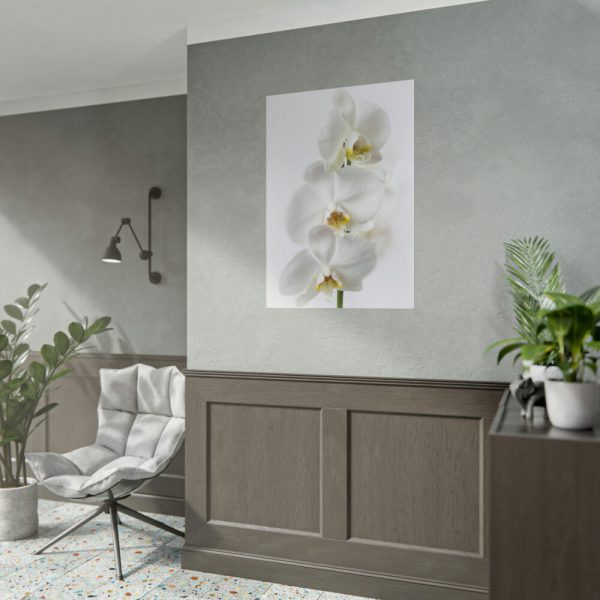 White Orchid Poster