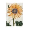 92411-24.jpg Sunflower by Johan Teyler Poster