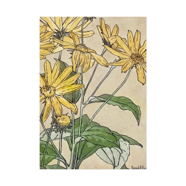92411-28.jpg Sunflowers by Hannah Borger Overbeck Poster