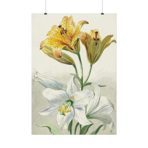 Yellow and White Lilies by William van Leen Poster