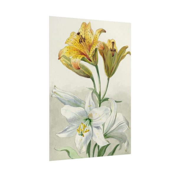Yellow and White Lilies by William van Leen Poster