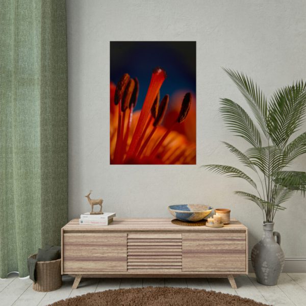 92411-59.jpg Flower pollen Poster