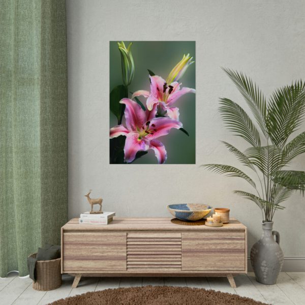 Beautiful Lily Poster
