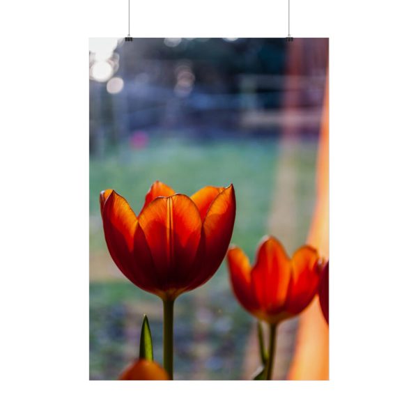 Spring Poster
