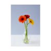 Three Daisies Poster