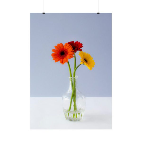 Three Daisies Poster