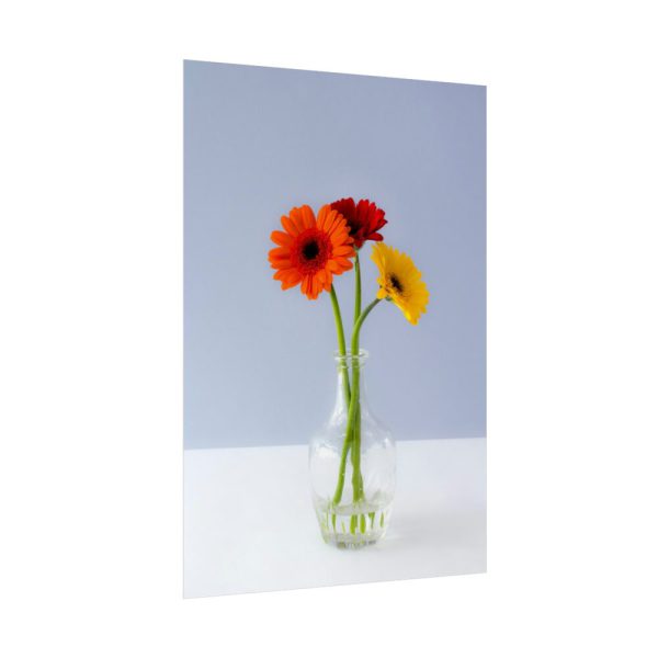 Three Daisies Poster