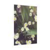 92411-92.jpg Tiny White Daisy Flowers Poster