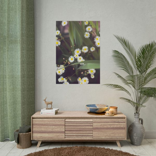 92411-93.jpg Tiny White Daisy Flowers Poster