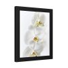 White Orchid Framed Poster