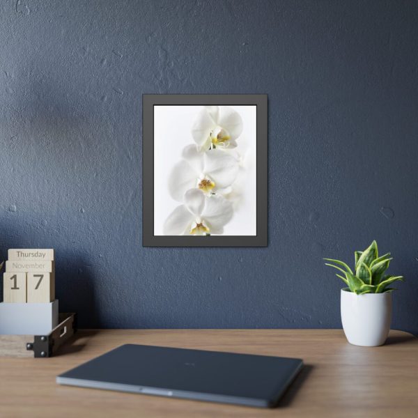 White Orchid Framed Poster