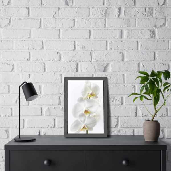White Orchid Framed Poster