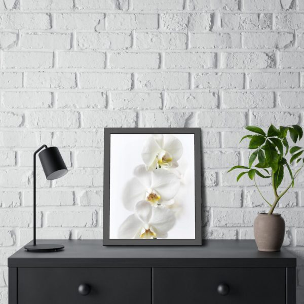White Orchid Framed Poster