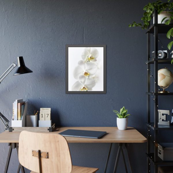 White Orchid Framed Poster