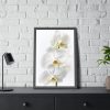 White Orchid Framed Poster