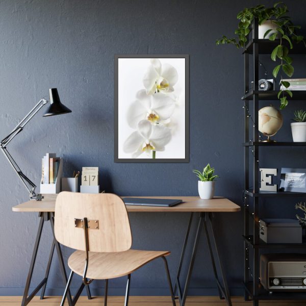 White Orchid Framed Poster