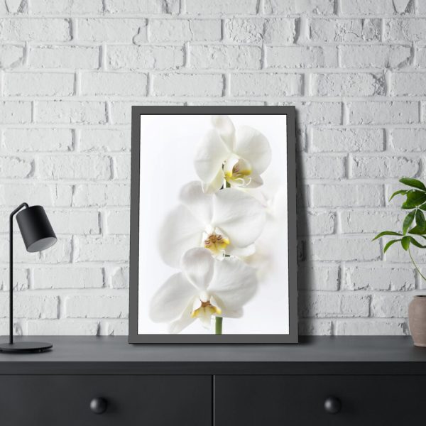 White Orchid Framed Poster