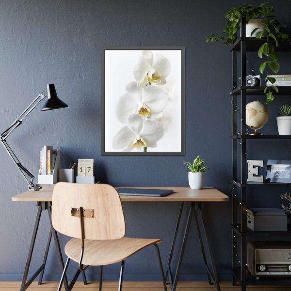 White Orchid Framed Poster