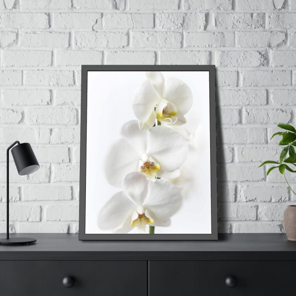 White Orchid Framed Poster