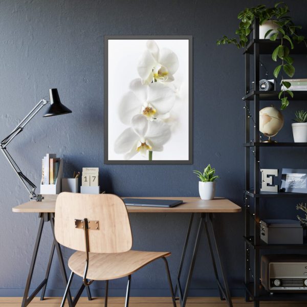 White Orchid Framed Poster