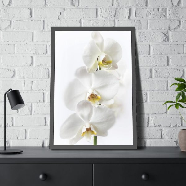 White Orchid Framed Poster