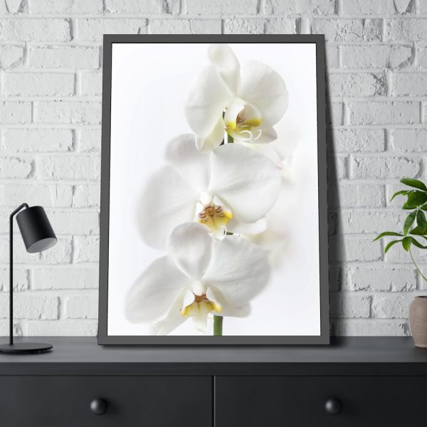 White Orchid Framed Poster