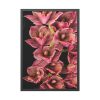 93830-112.jpg Catasetum Orchidglade Framed Poster