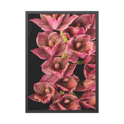 Catasetum Orchidglade Framed Poster