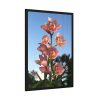 Pink Orchid Flowers Framed Poster