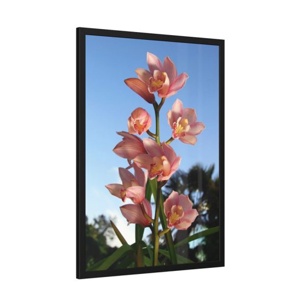 Pink Orchid Flowers Framed Poster
