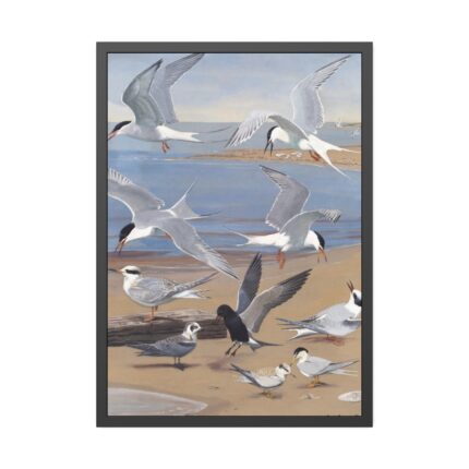 Panel 8 by Louis Agassiz Fuertes Framed Poster