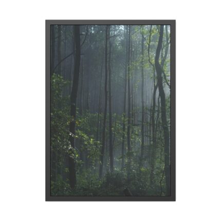 A Small Clearing in a Lush Forest Framed Poster