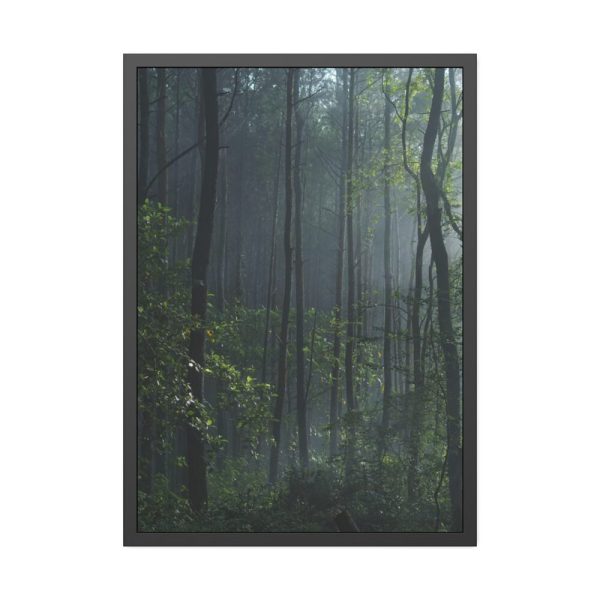 93830-124.jpg A Small Clearing in a Lush Forest Framed Poster