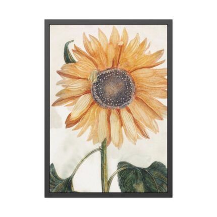 Sunflower  by Johan Teyler Framed Poster
