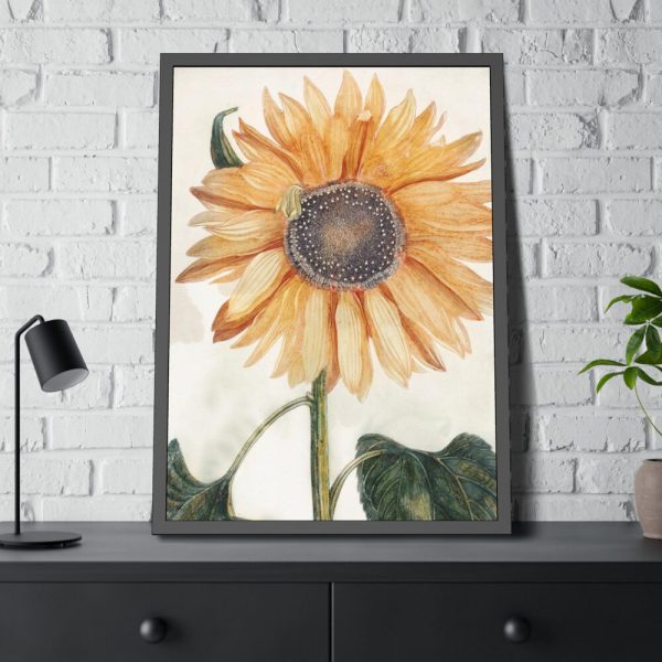 Sunflower  by Johan Teyler Framed Poster