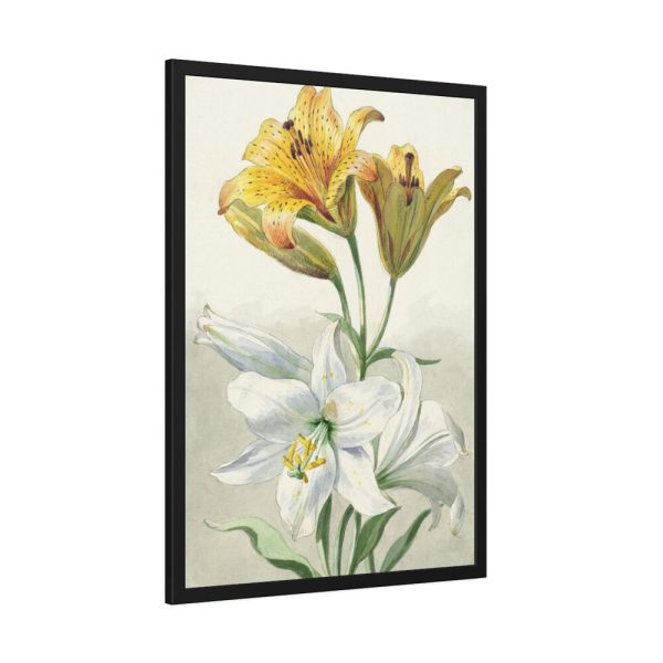 93830-53.jpg Yellow and White Lilies by William van Leen Framed Poster