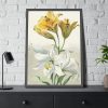 93830-55.jpg Yellow and White Lilies by William van Leen Framed Poster
