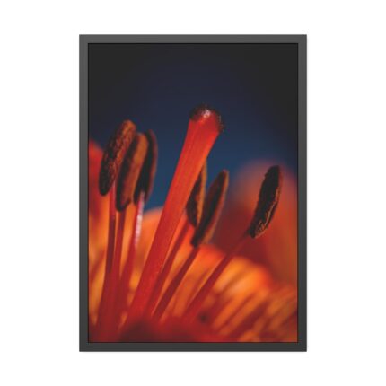 Flower pollen Framed Poster