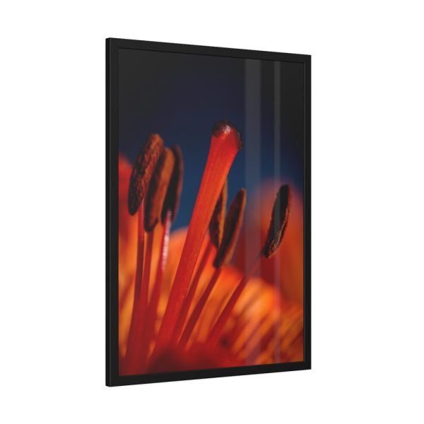 Flower pollen Framed Poster
