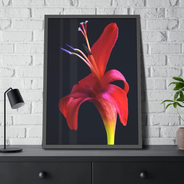 93830-63.jpg Red Flower Framed Poster
