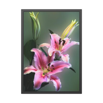 Beautiful Lily Framed Poster