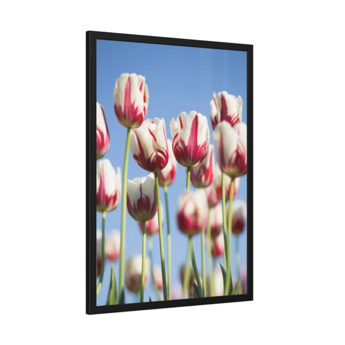 Omber Pink and White Tulips Framed Poster - Image 2