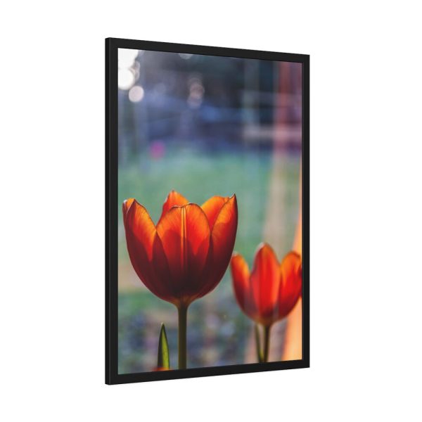 93830-77.jpg Spring Framed Poster