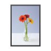 93830-80.jpg Three Daisies Framed Poster