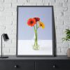 93830-83.jpg Three Daisies Framed Poster